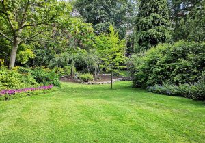 Optimiser l'expérience du jardin à Biencourt